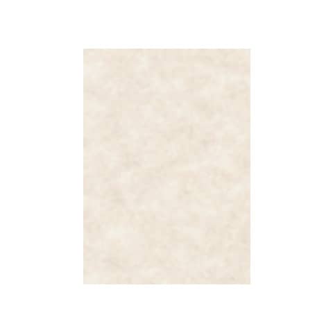 Carta pergamenata Decadry Linea Corporate A4 avorio 95 g/m² Conf. 100 fogli – T105002