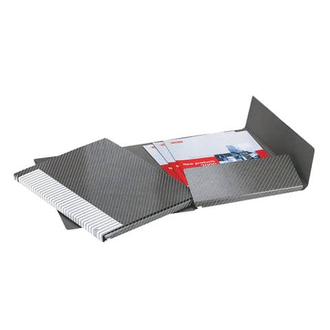 Cartelle a 2 lembi Esselte I56 DELSO LINE 6/I51 bianco/grigio 25×32 cm dorso 3 cm 6 cartelle – 390956040