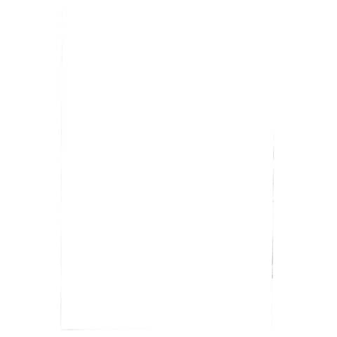 Pouches per plastificatrici Fellowes Standard Capture125 finitura lucida – 2×125 µm – A2 – Conf. 50 pz – 5309302