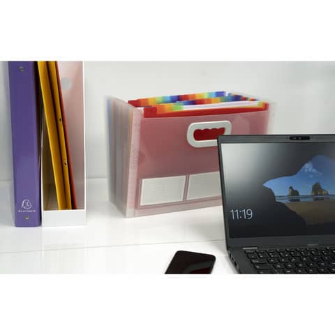 Classificatore valigetta Crystal Colours cristallo 24 scomparti 33×23,5x25cm con maniglia – 55198E