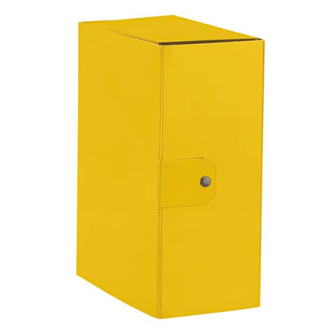 Cartelle portaprogetti Esselte C95 DELSO ORDER dorso 15 cm presspan lucido giallo 25×35 cm – 390395090