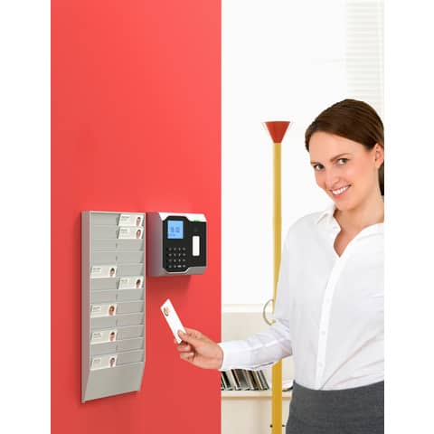 Porta badge da muro Paperflow Wall Organizer 24 posti 19,9×2,5×37,5 cm grigio chiaro – K500000