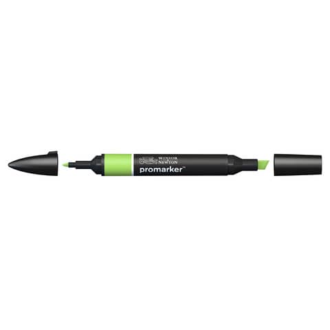 Pennarelli Winsor&Newton Promarker doppia punta fine-larga – leaf green G258 – 0203341