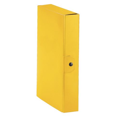 Cartella portaprogetti Esselte C86 DELSO ORDER dorso 6 cm presspan lucido giallo 25×35 cm – 390386090