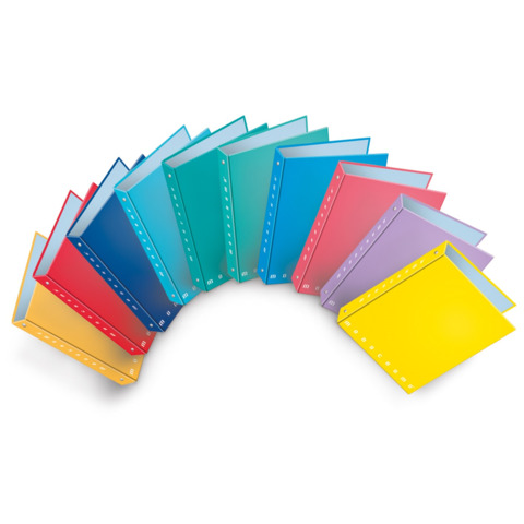 Raccoglitore ad anelli Pigna Monocromo – A5 18,5×22 cm 4 anelli Ø 25 mm colori assortiti – 0013149
