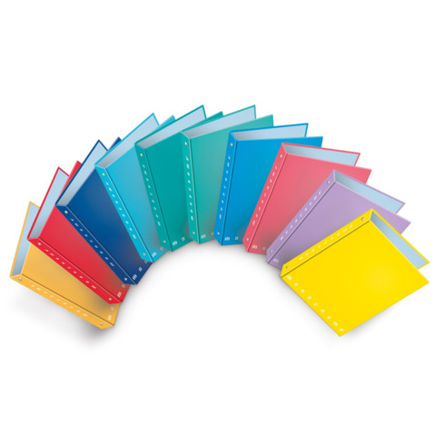 Raccoglitore ad anelli Pigna Monocromo – A4 27×32 cm 4 anelli Ø 30 mm colori assortiti – 0011963