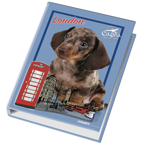 Raccoglitore ad anelli Blasetti – 4 anelli Ø 30 – 26×32 cm per fogli A4 – fantasie assortite Cuccioli – 4170
