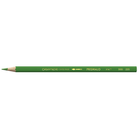 Matite colorate acquerellabili Carand’Ache Prismalo in conf. da 12 pz verde prato – 999220