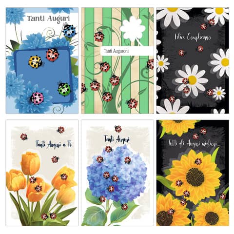 Biglietti augurali Biembi Compleanno 12×18 cm conf. 6 pezzi assortiti – coccinelle – BXBDKTC06