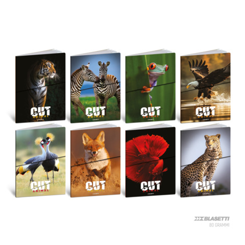 Maxi quaderno Blasetti Animal Cut A4 – 80 g/m² – 20 ff – B – conf. 10 pezzi – 9236