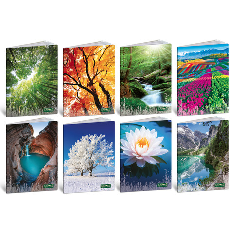 Maxi quaderno Blasetti Quadecò A4 – 80 g/m² – 20 ff – 5M – conf. 10 pezzi – 4771