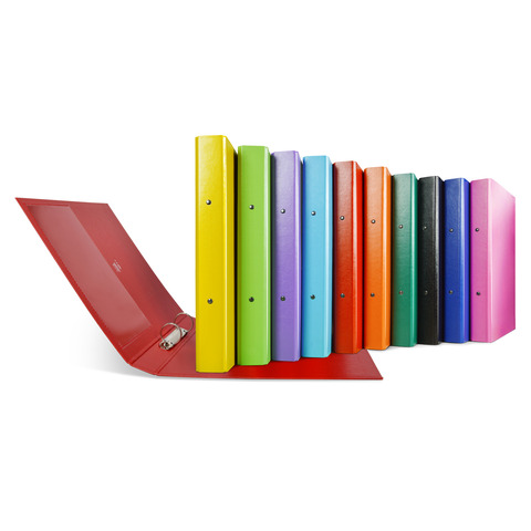 Raccoglitore Sei Rota Nettuno – 2 anelli a R 30 mm – A4 – dorso 3,5 cm – conf. 10 pz colori assortiti – 36773199