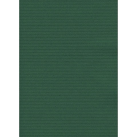 Carta regalo in fogli Rex-Sadoch formato 70×100 cm – conf. 10 pezzi – verde – 75510560