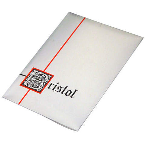 Plichi Blasetti 10 biglietti più 10 buste – conf. 50 pz – 80 g 75×112 mm 583