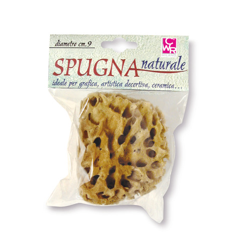 Spugna naturale per attività artistiche DOM – diametro 9 cm – 06029
