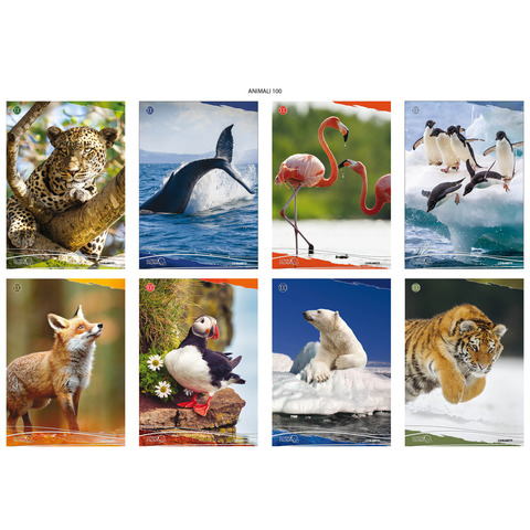 Maxi quaderno Blasetti Animali A4 – 100 g/m² – 18+1 ff – 4F – conf. 10 pezzi – 8206