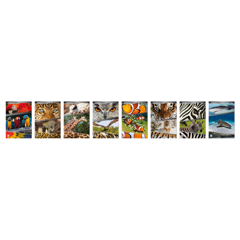 Maxi quaderno Blasetti Animali A4 – 100 g/m² – 18+1 ff – 4M – conf. 10 pezzi – 5893