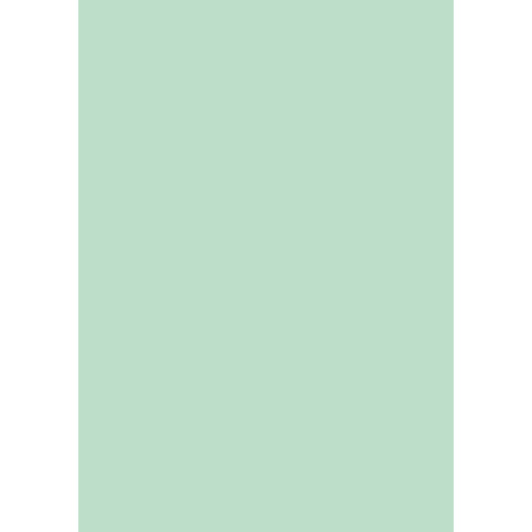 Cartellina semplice Brefiocart Color 24,5×35 cm cellulosa 200 g/m² verde menta chiaro – conf. 50 pz – 0205510.VC