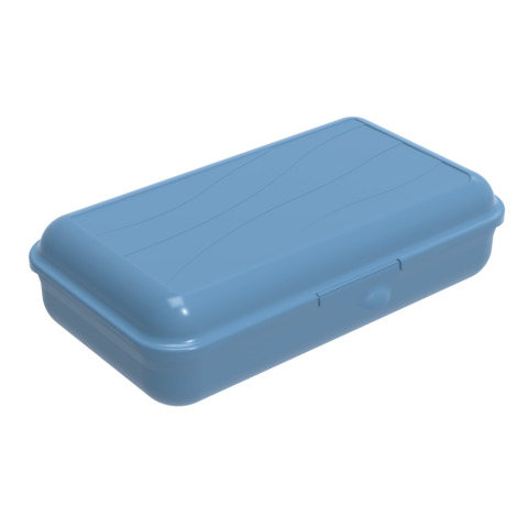 Lunch box Rotho Fun L 1,7 L con divisorio interno in plastica PP senza BPA blu – F711123