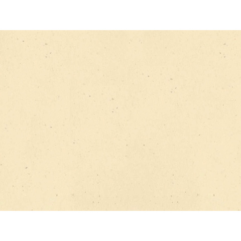 Tovaglietta Ristocart in carta paglia neutra tinta in massa 30×40 cm conf. 250 pz verde – WRTVT1138