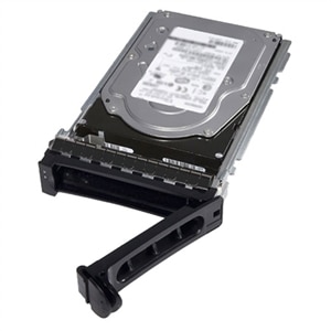 DELL SSD SERVER 480GB SATA 2,5 6GBS SFF MIXED USE 512E (3.5IN DRIVE CARRIER)