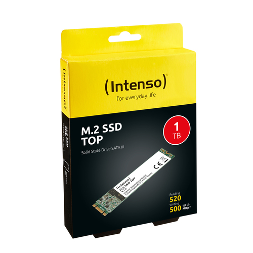 INTENSO SSD INTERNO TOP 1TB M.2 SATA R/W 520/500