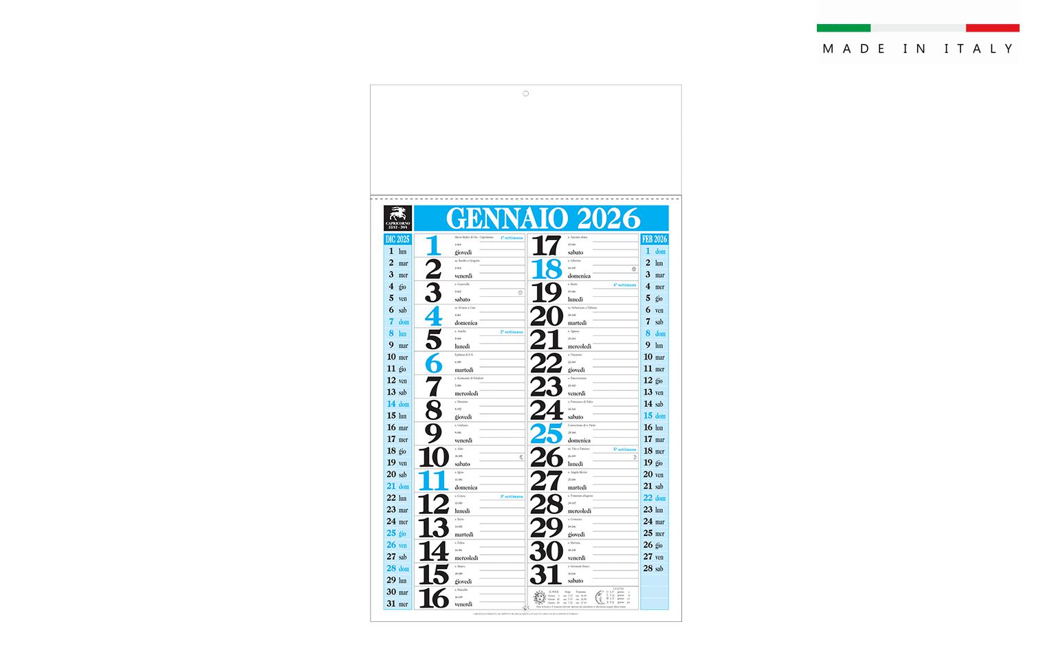 Calendario mensile OLANDESE GIGANTE 12 fogli 31×53,5