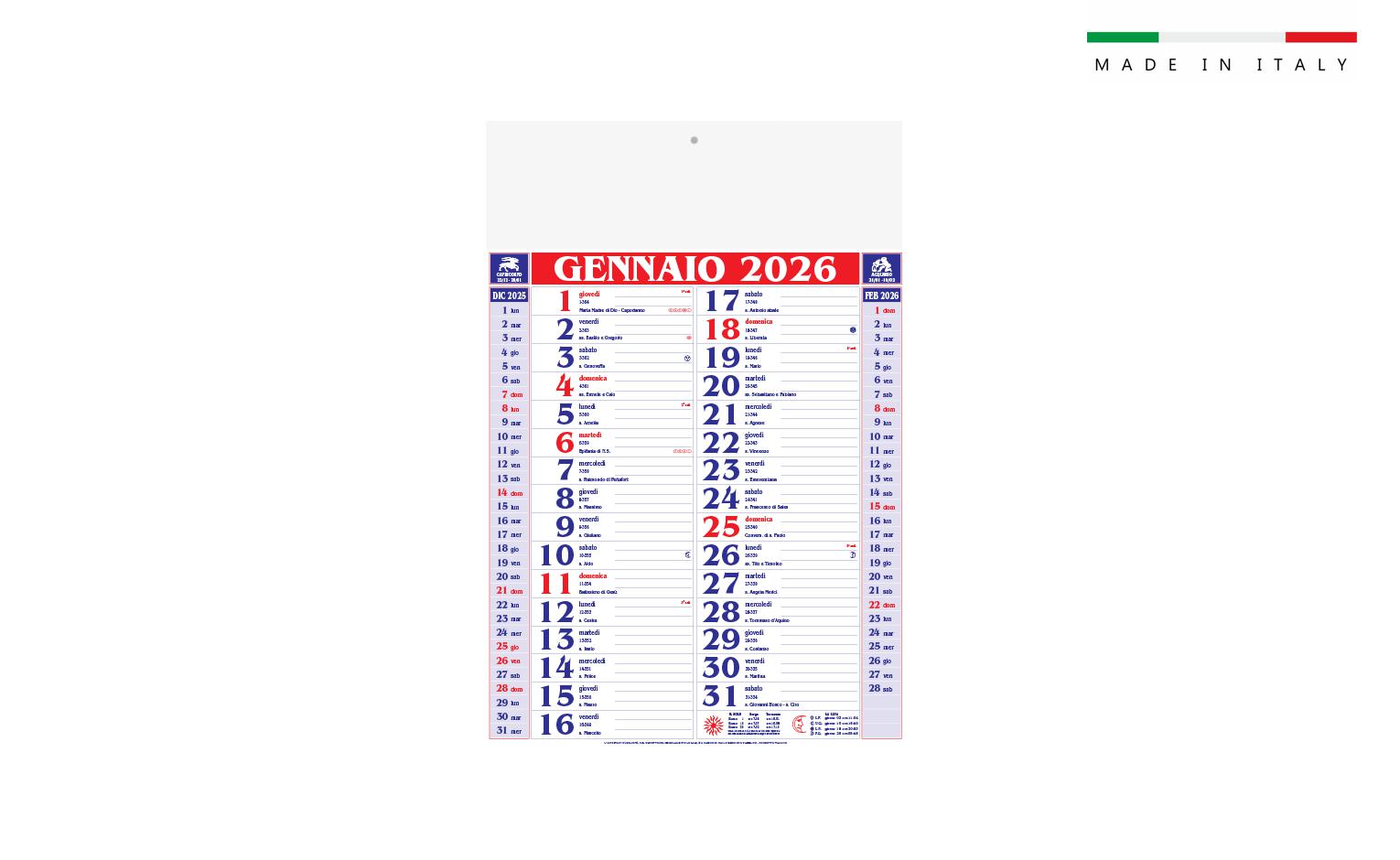 Calendario mensile OLANDESE MEDIUM 12 fogli