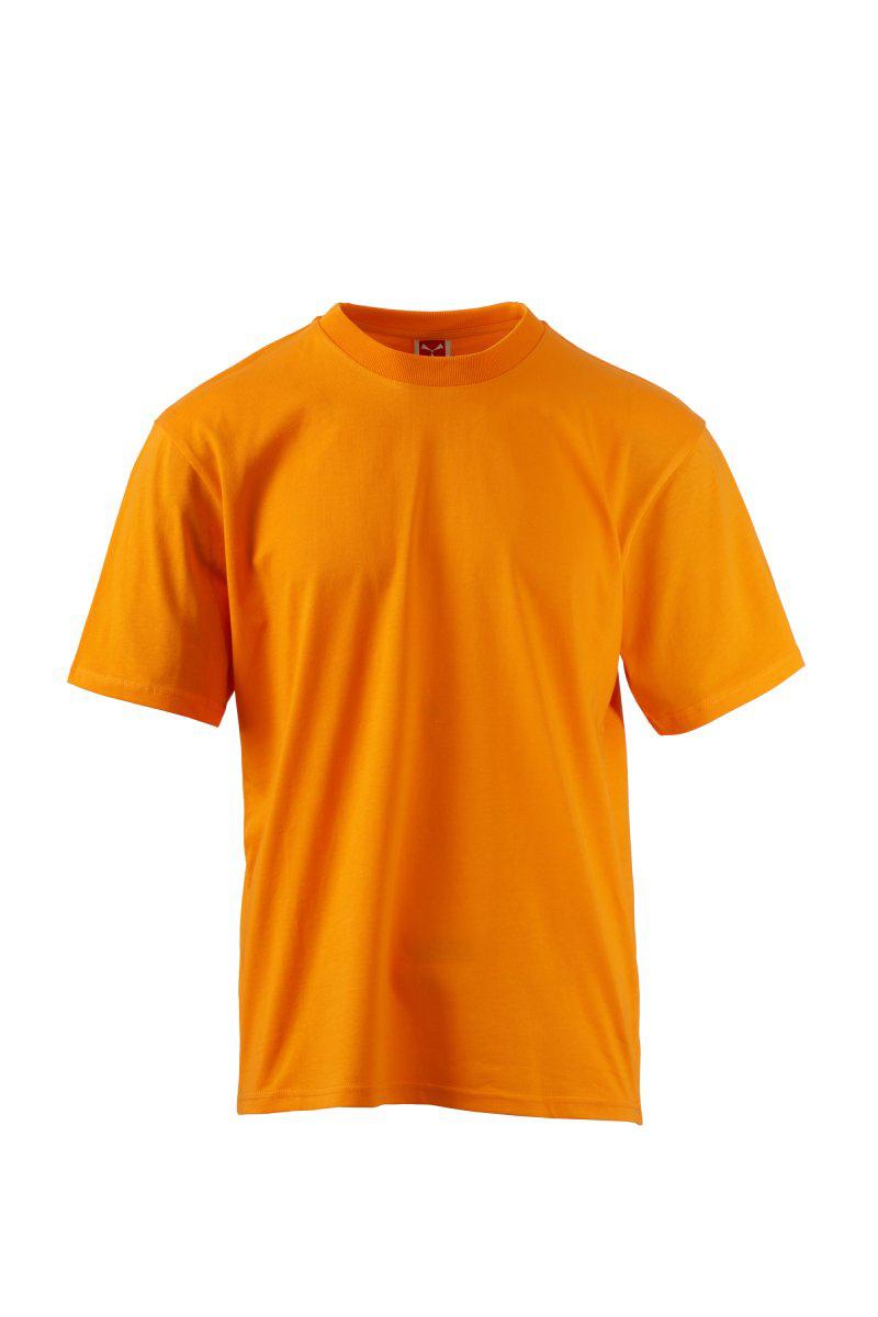 COOL TSHIRT DA UOMOIN COTONE BIOLOGICO PAYPER