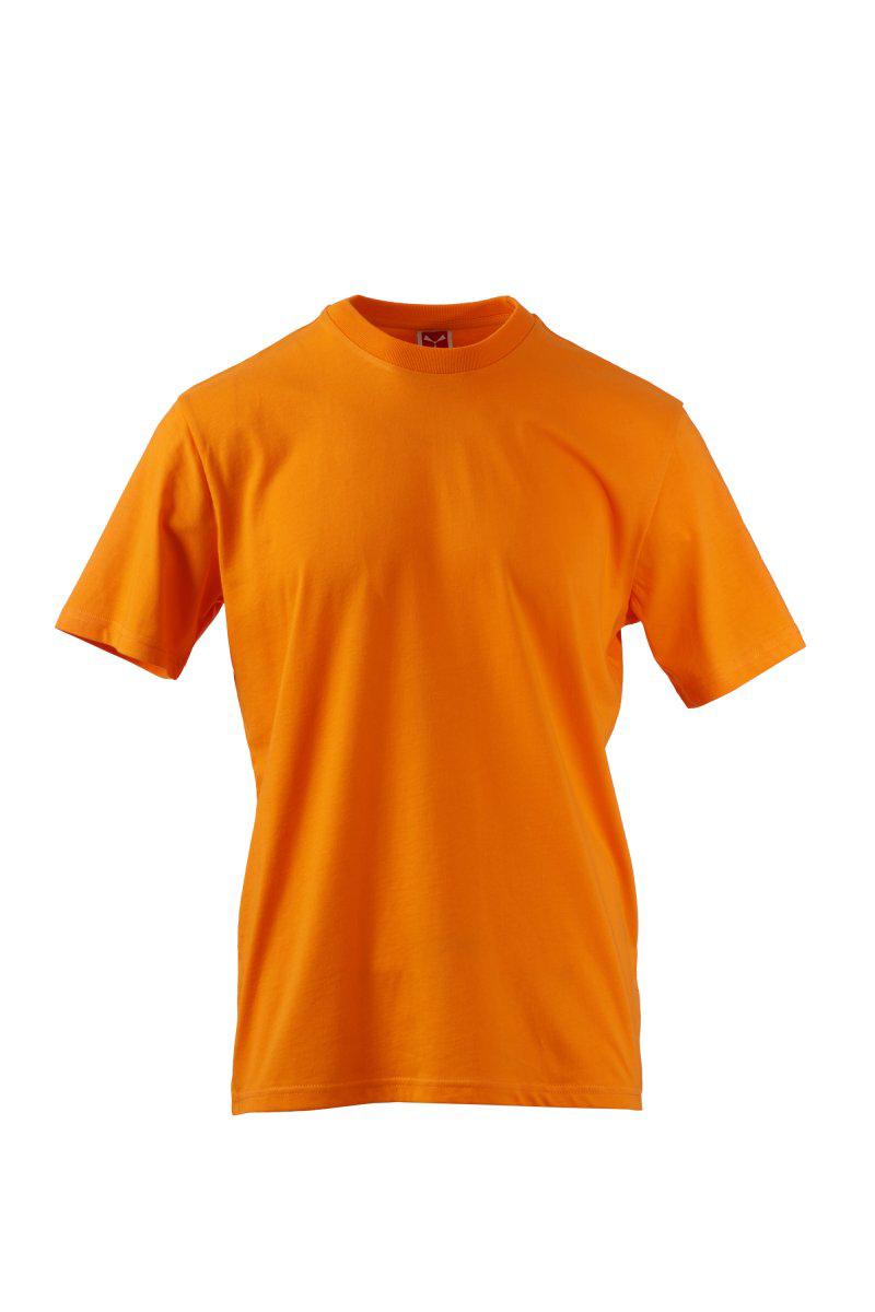 FLEXO TSHIRT DA UOMO IN COTONE BIOLOGICO PAYPER
