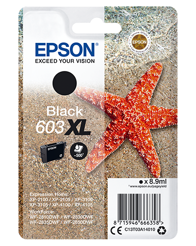 EPSON CARTUCCIA INK NERO, STELLA MARINA, 603 XL