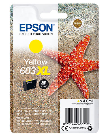 EPSON CARTUCCIA INK GIALLO, STELLA MARINA, 603 XL